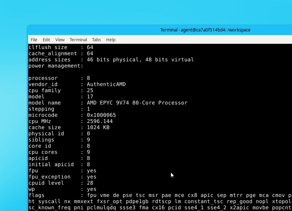 lscpu:AMD EPYC 9V74,分配 8 核