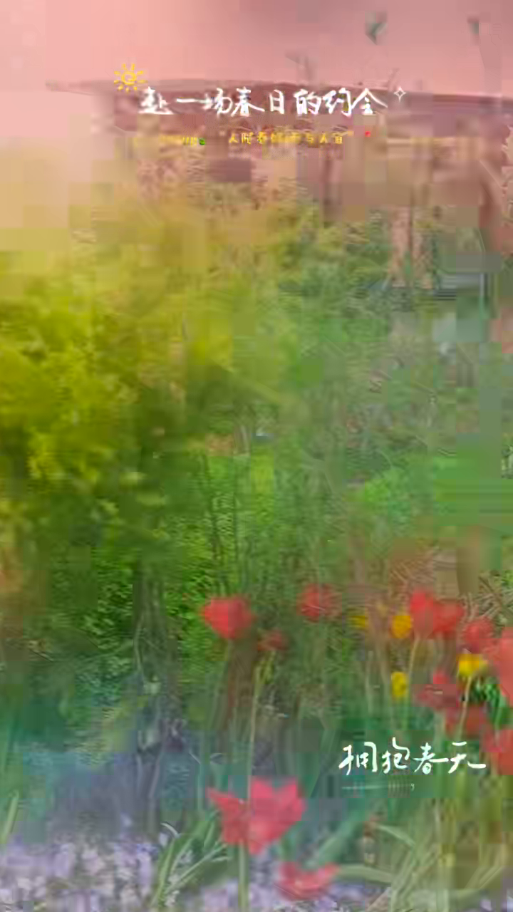 真实视频低隐私抽帧第 2 帧：花草和活动标题