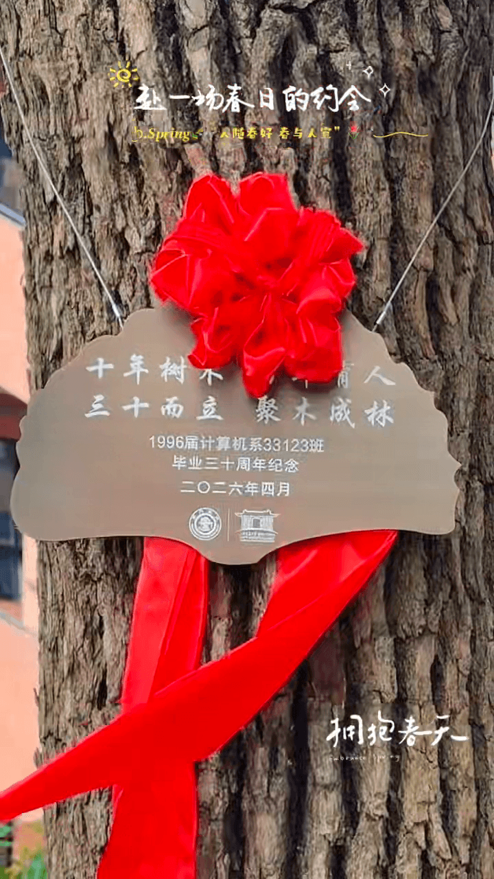 真实视频低隐私抽帧第 4 帧：树干上的纪念牌和红色装饰