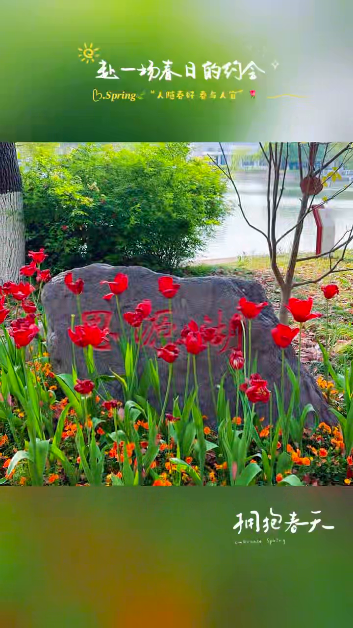 真实视频低隐私抽帧第 5 帧：花草和石刻环境